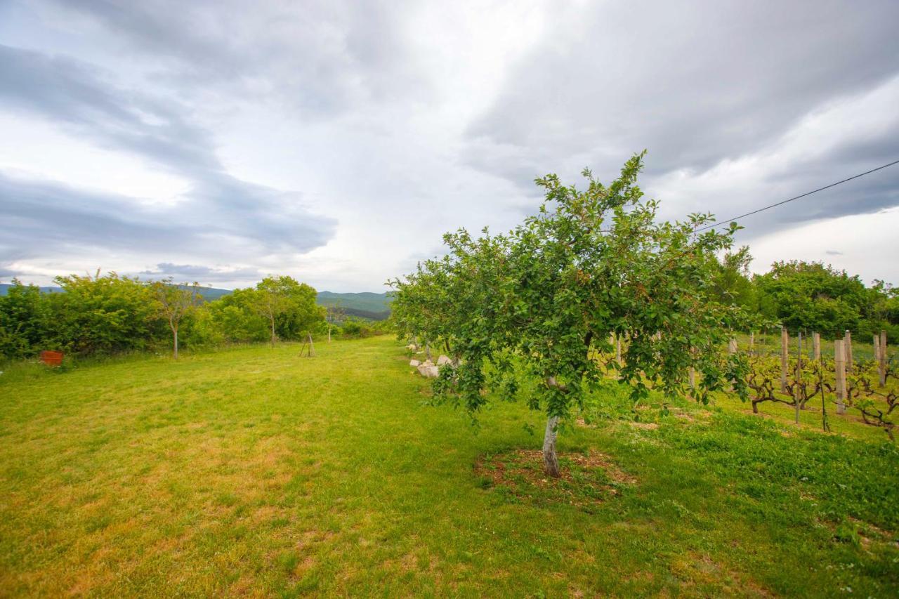 הוילה Casa Di Oliva-House With Heated Pool & Jacuzzi In Trilj, Croatia מראה חיצוני תמונה