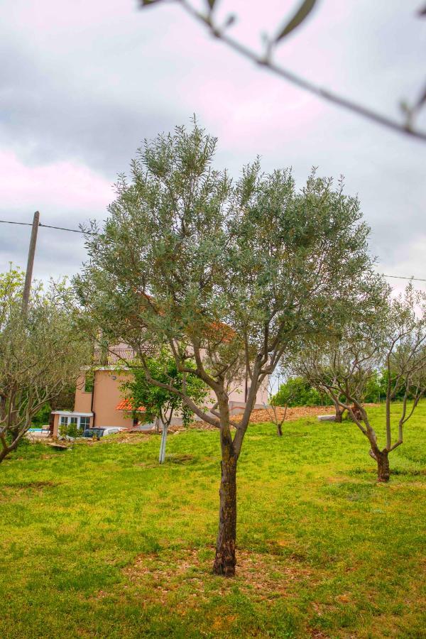 הוילה Casa Di Oliva-House With Heated Pool & Jacuzzi In Trilj, Croatia מראה חיצוני תמונה