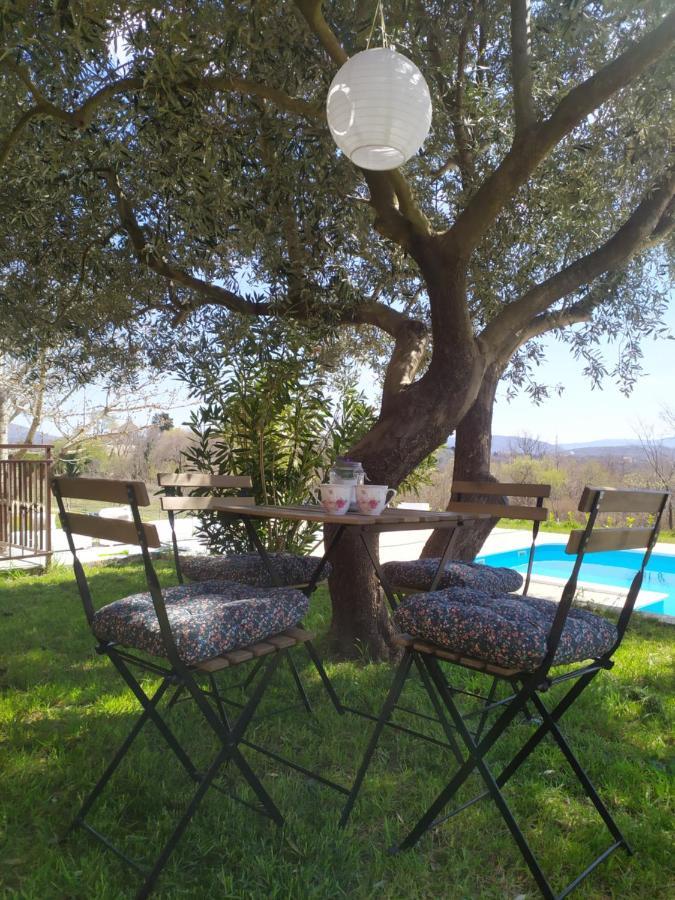 הוילה Casa Di Oliva-House With Heated Pool & Jacuzzi In Trilj, Croatia מראה חיצוני תמונה