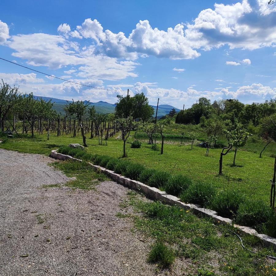 הוילה Casa Di Oliva-House With Heated Pool & Jacuzzi In Trilj, Croatia מראה חיצוני תמונה
