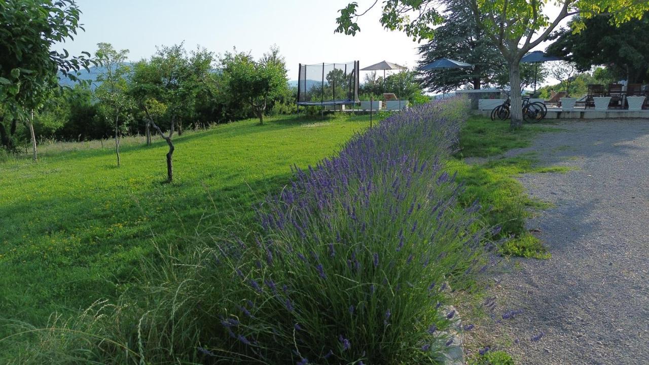 הוילה Casa Di Oliva-House With Heated Pool & Jacuzzi In Trilj, Croatia מראה חיצוני תמונה